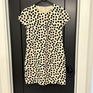 J. Crew dress